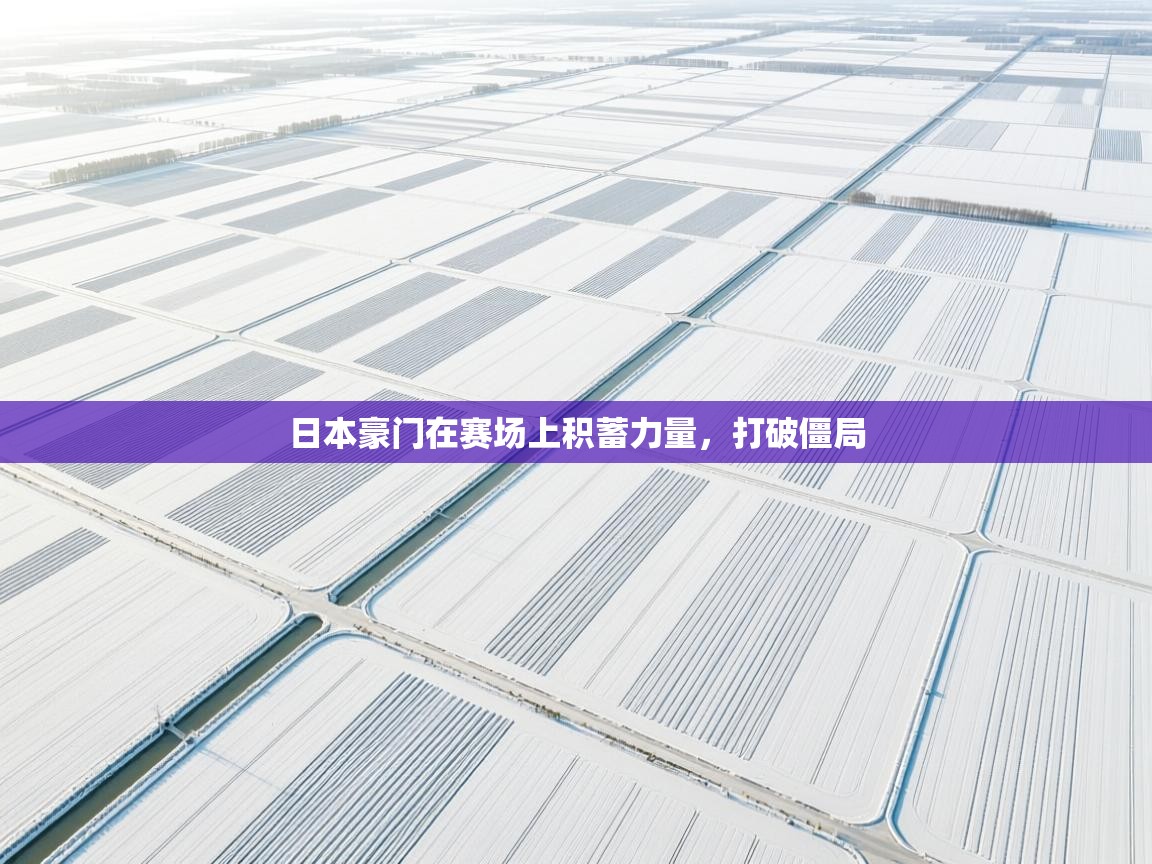 日本豪门在赛场上积蓄力量，打破僵局  第1张