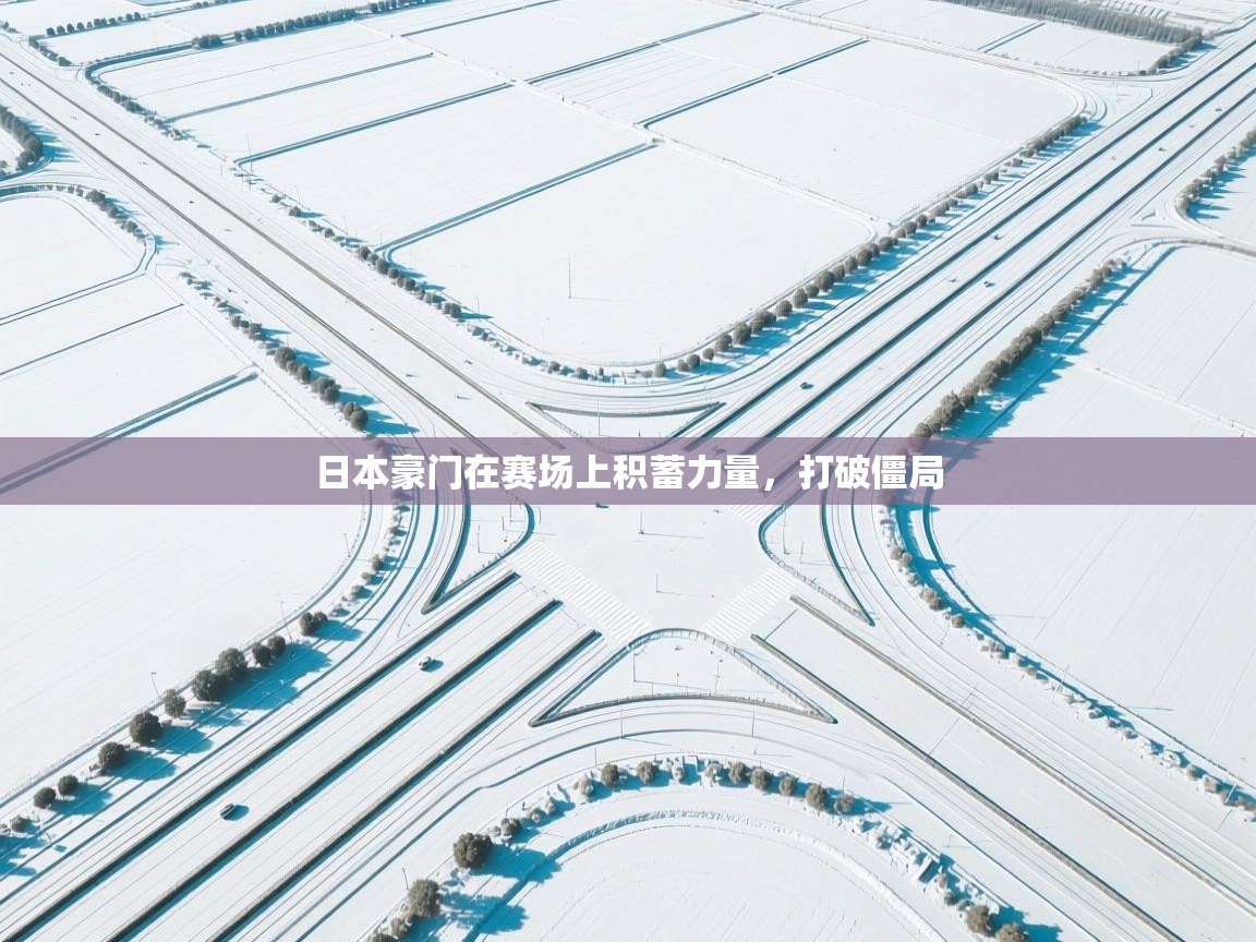 日本豪门在赛场上积蓄力量，打破僵局  第2张