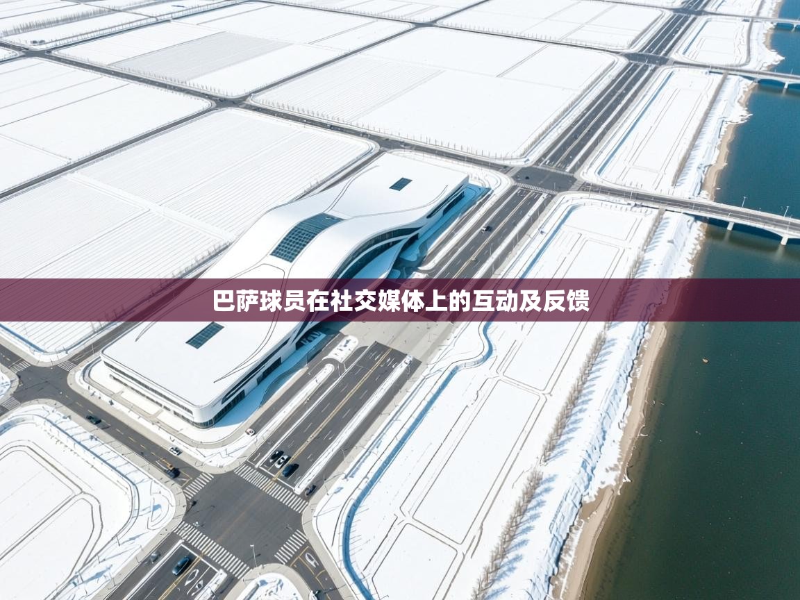 巴萨球员在社交媒体上的互动及反馈  第1张