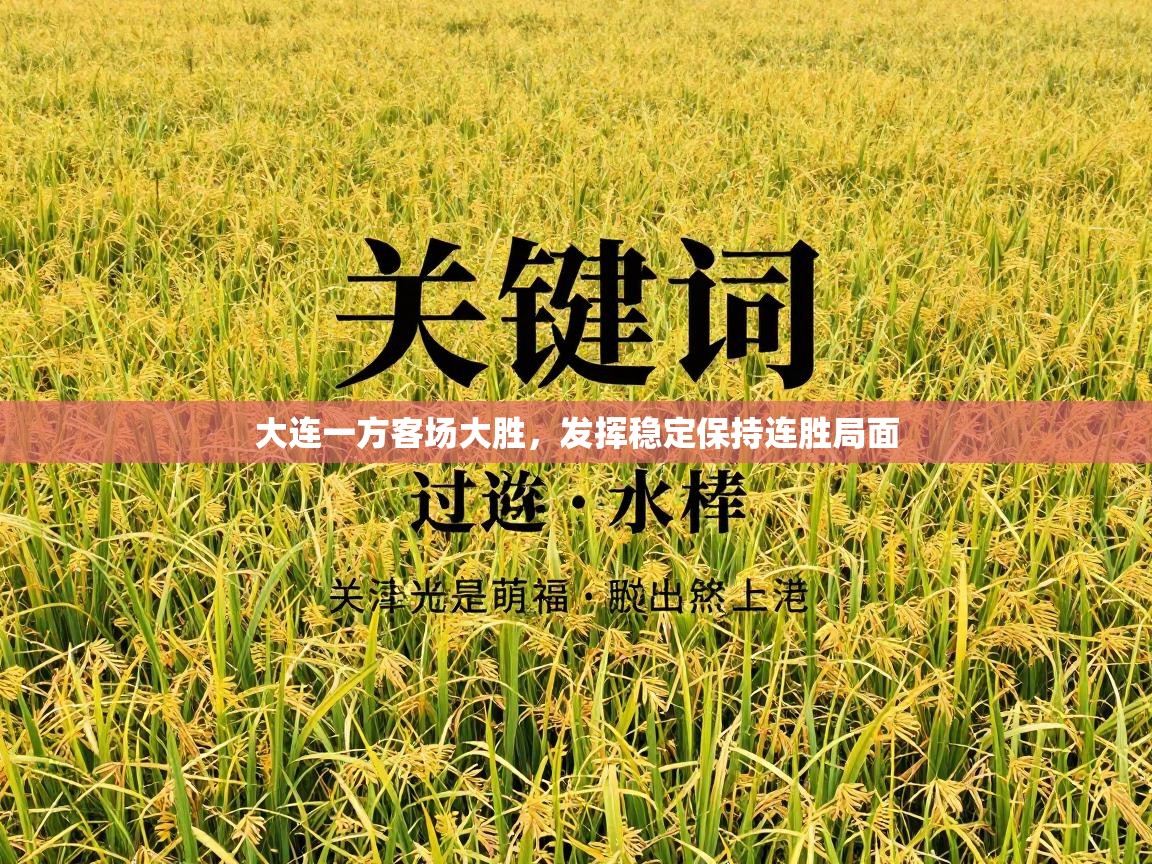 大连一方客场大胜，发挥稳定保持连胜局面  第1张