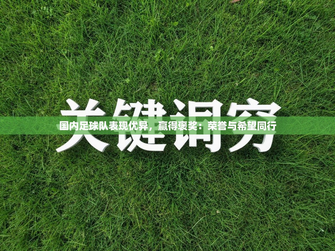 国内足球队表现优异，赢得褒奖：荣誉与希望同行  第2张