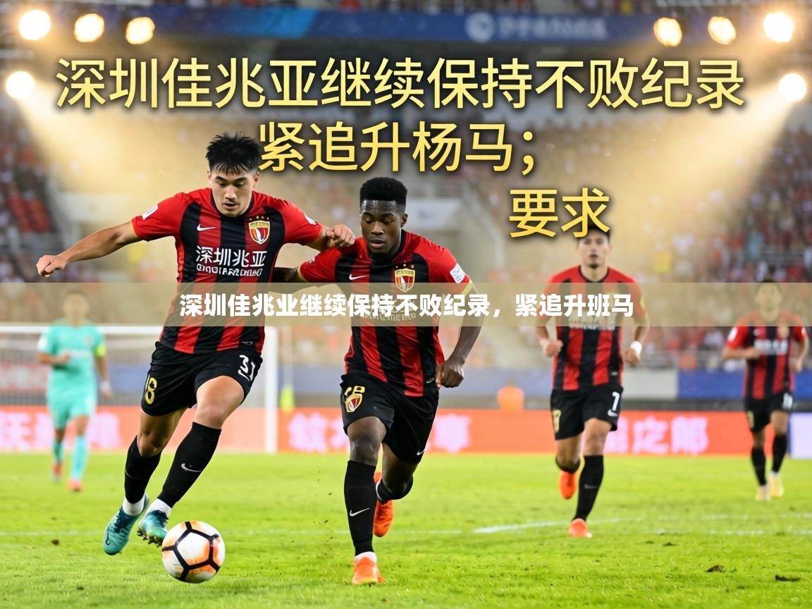 深圳佳兆业继续保持不败纪录,紧追升班马 第2张